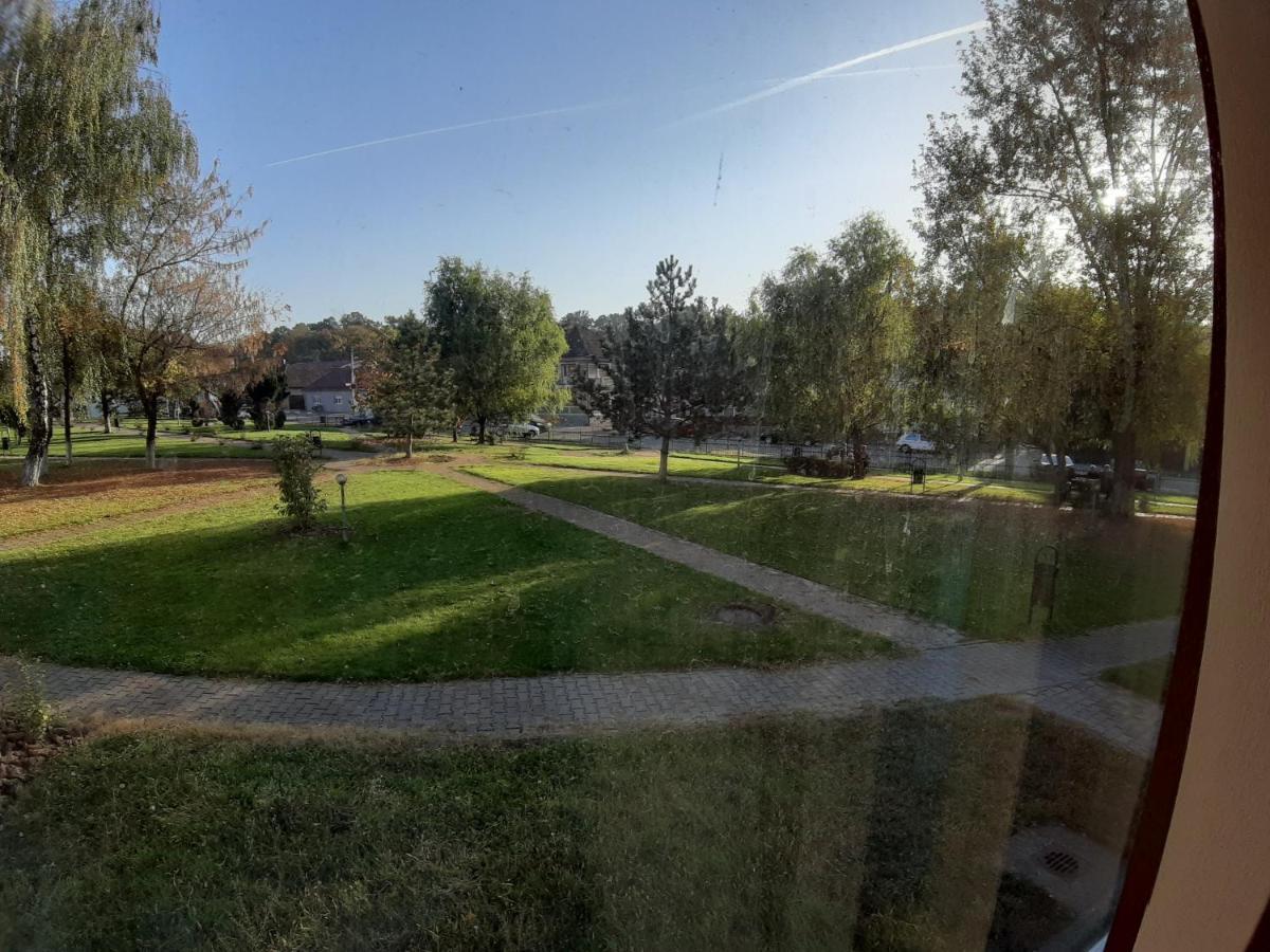 Apartament Andrei Băile Felix Esterno foto